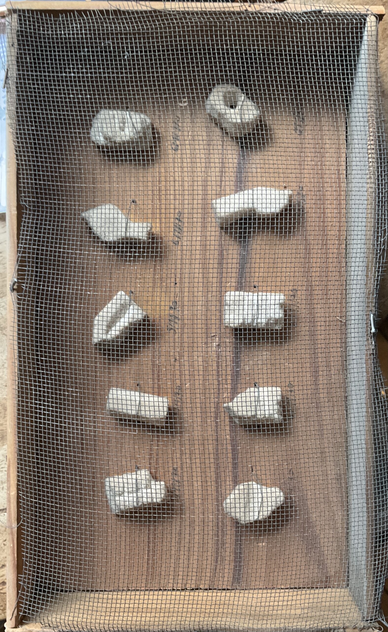 Sucres taillés par Christian Boltanski, 11/1970 Daté 5.11. 70 10 sucres taillés, fixés avec un fil de fer, dans un boîte en bois recouverte d’un grillage, chaque sucre daté en dessous du 3//11/70 au ?/11/70. 16 x 26,5 cm